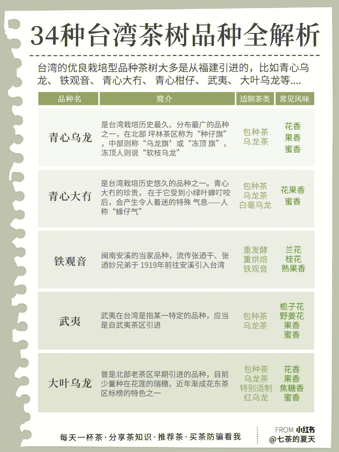 认识台湾茶34种台湾茶树品种全解析