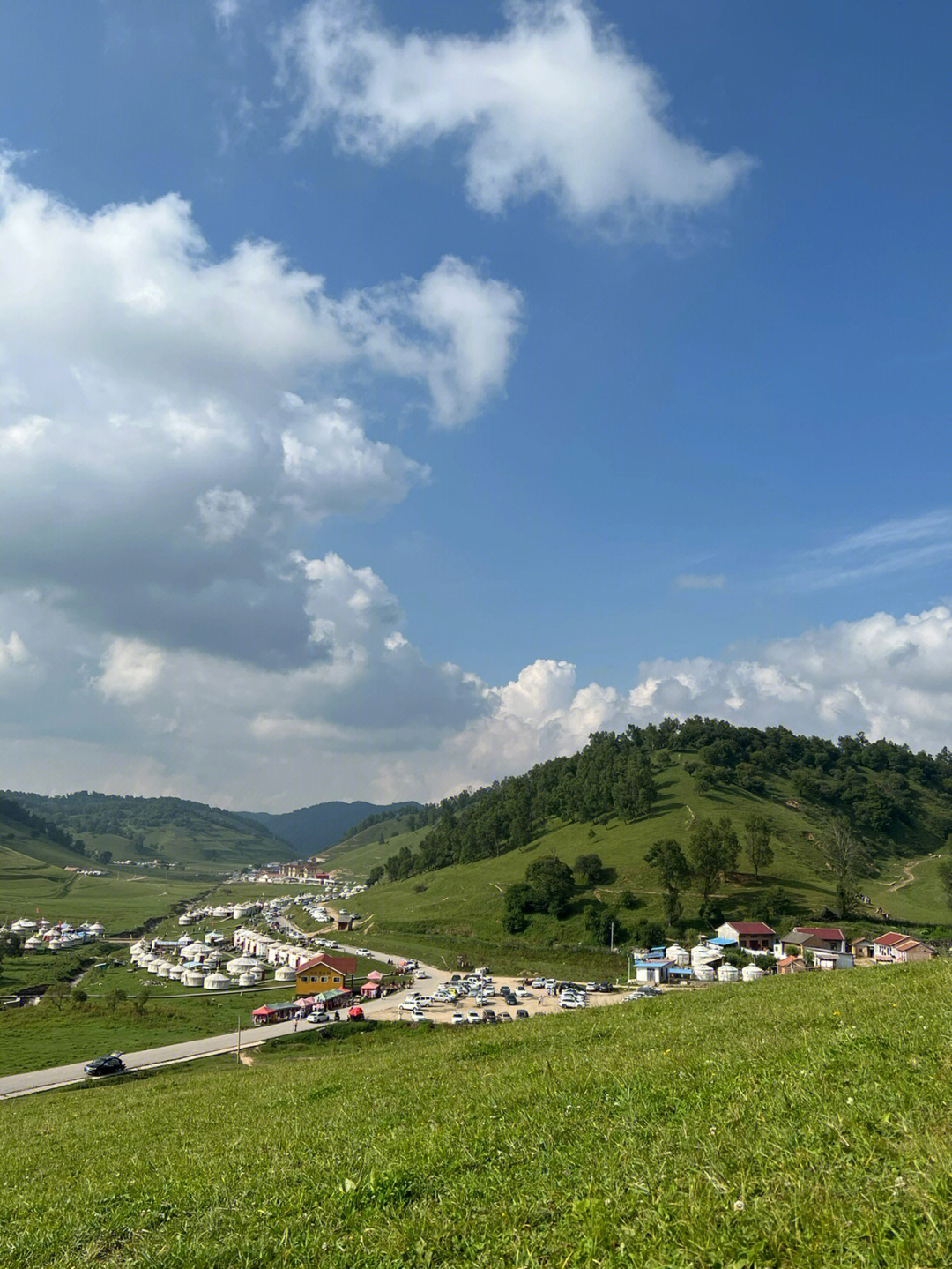 庄浪关山牧场图片图片