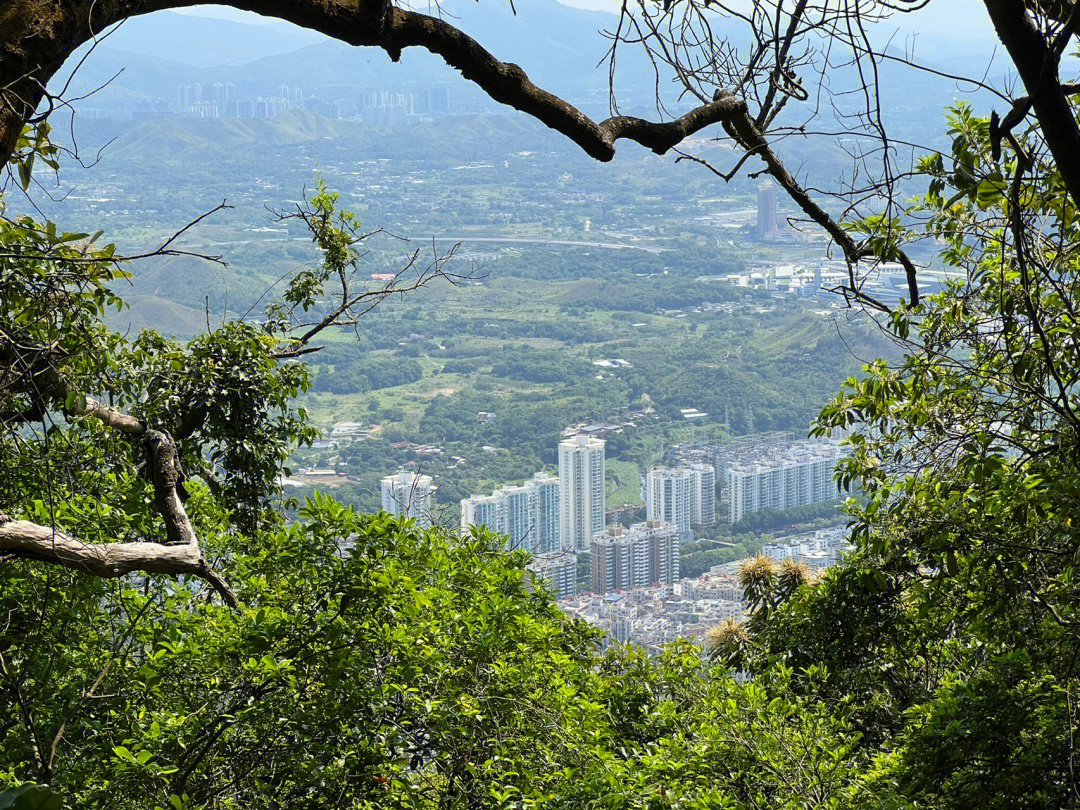 深圳梧桐山