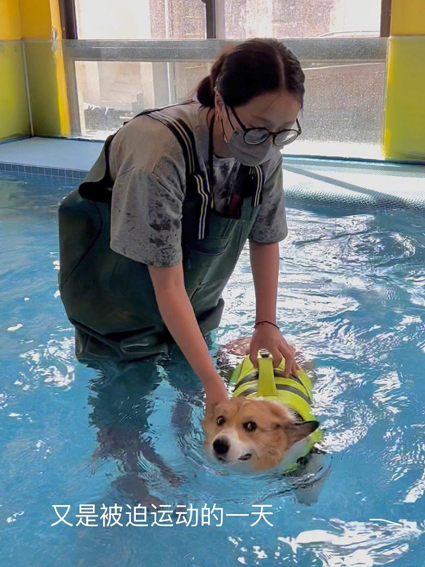 百万巨鳄小孩游泳花絮图片