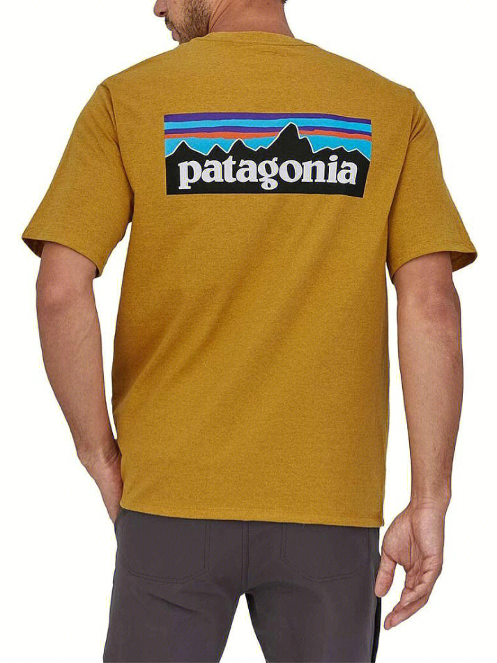 patagonia黄色t棕色卫衣