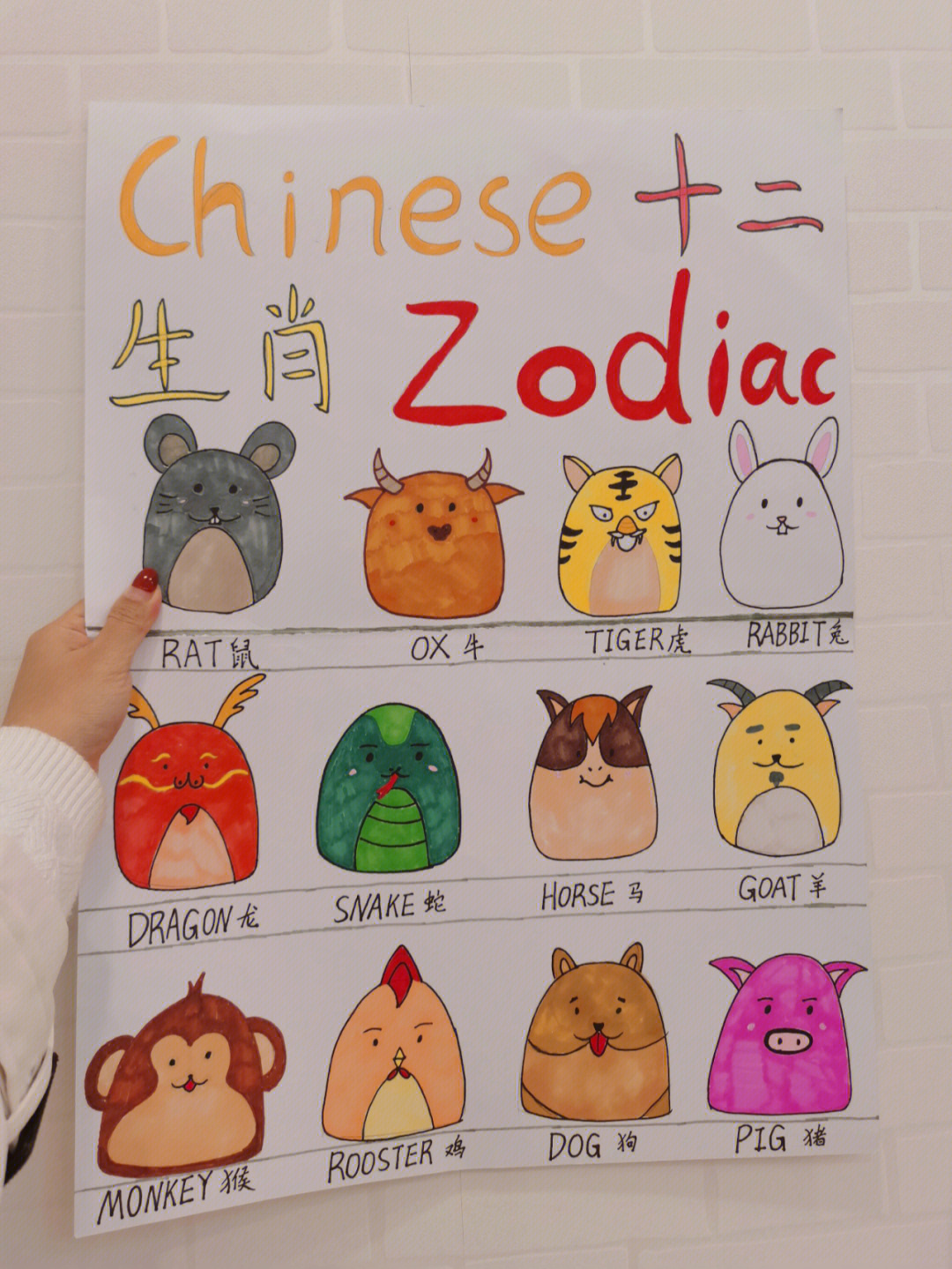 英文手抄报十二生肖chinesezodiac