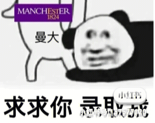 小红书收到offer表情包图片