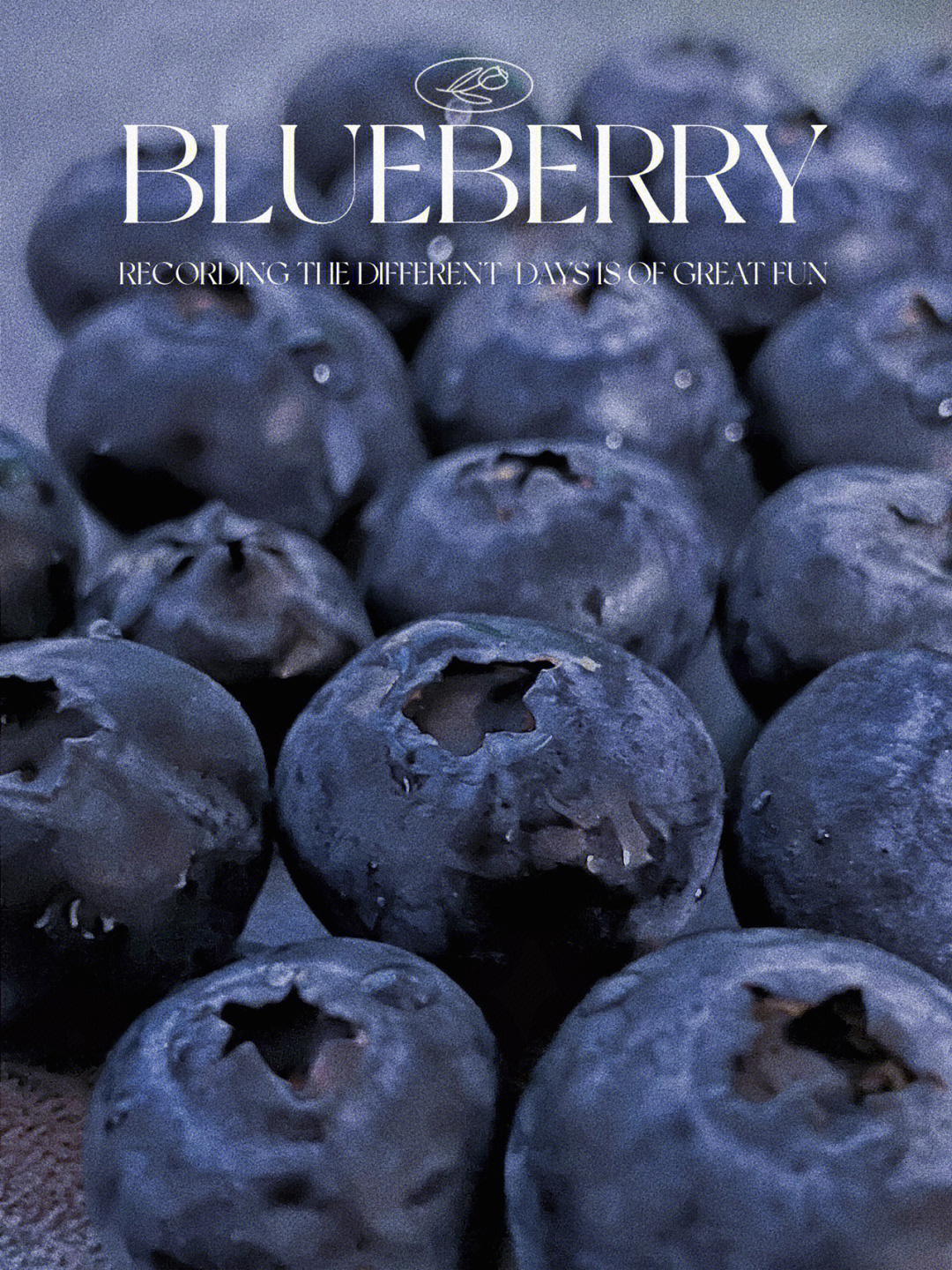 ds!blueberry图片