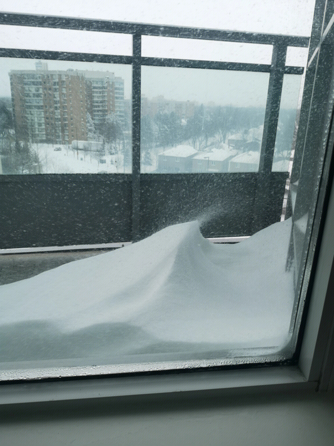 昨晚就看到暴雪预报了,睡前雪就很大了,早上起床一看,这哪是下雪啊,是