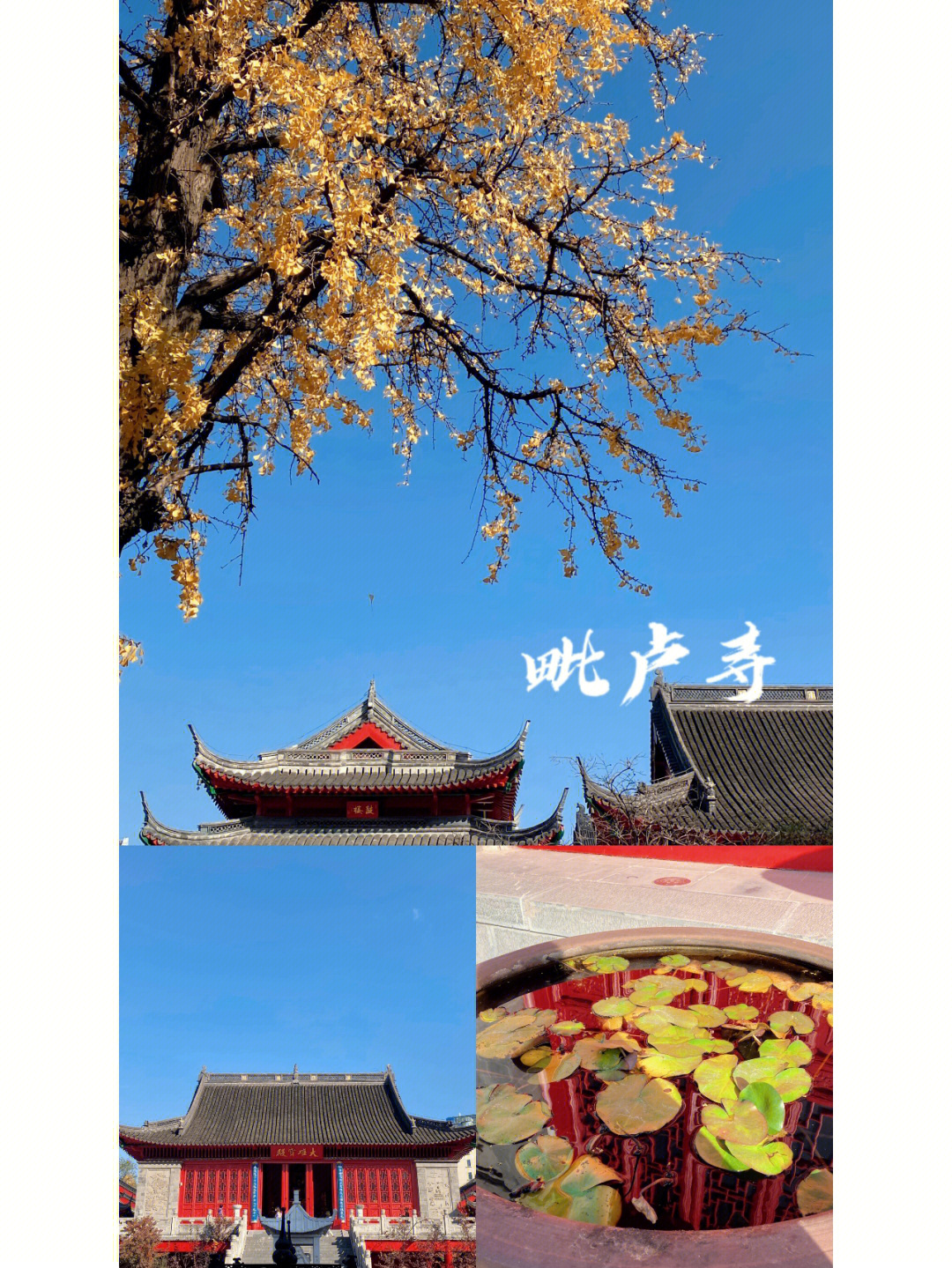 【毗卢寺】:01二号线坐到西安门地铁站2号口,步行8分钟就到了,门票