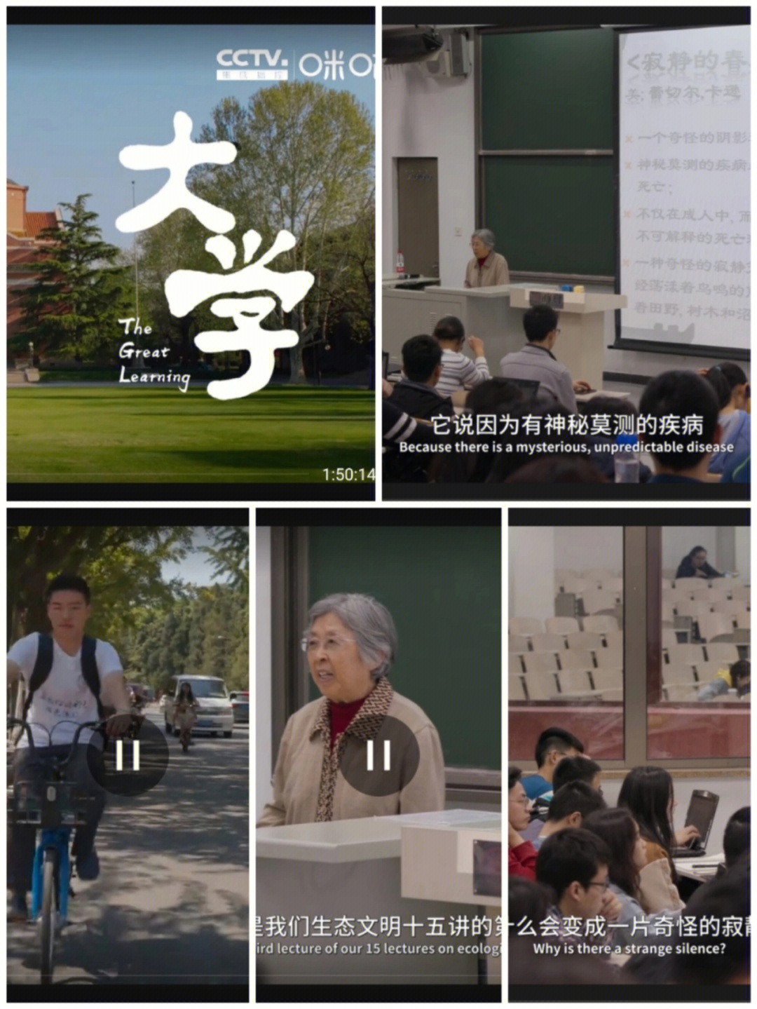 分享纪录片大学