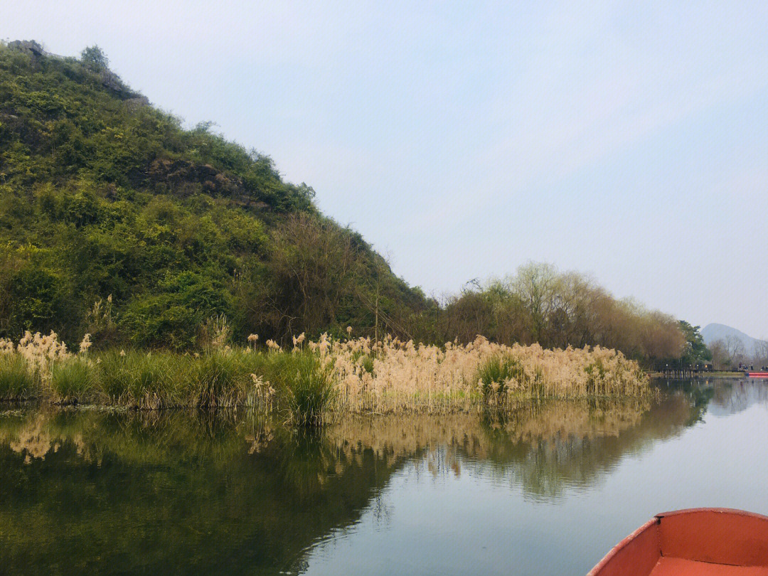 桂林会仙湿地公园简介图片