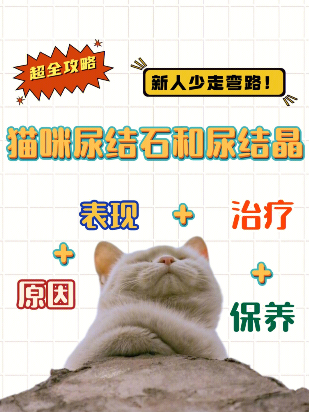 09猫咪得尿结石和尿结晶的原因表现和治疗