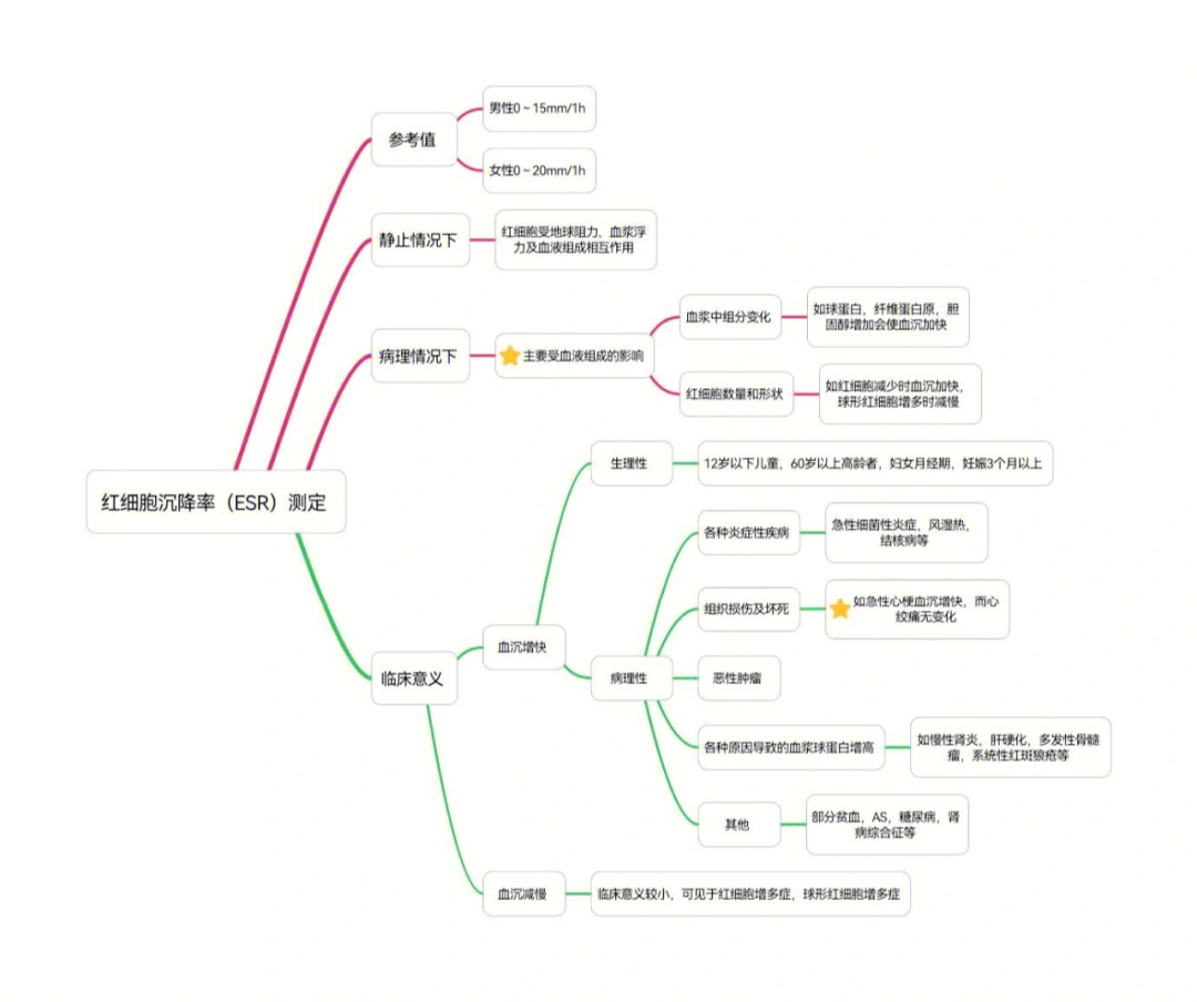 高中红细胞思维导图图片