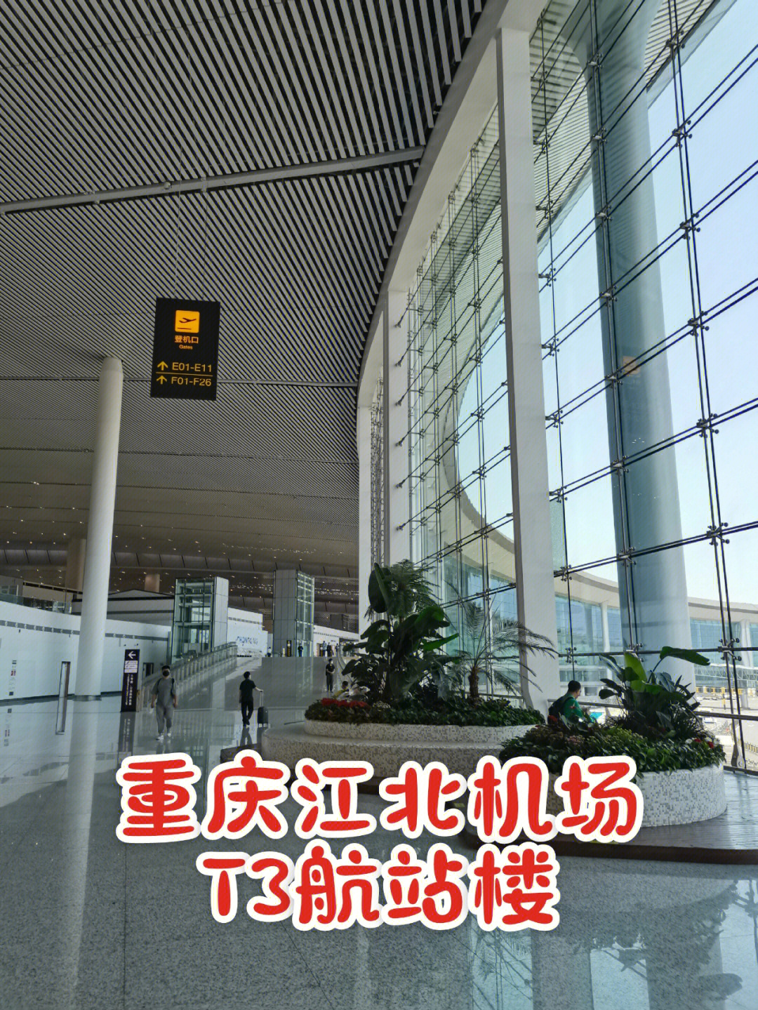 重庆机场t3航站楼,像极了首都t301