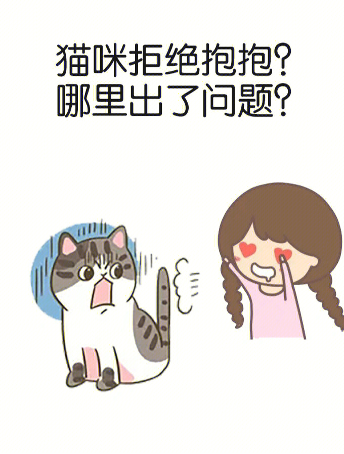 猫咪拒绝抱抱是哪出了问题