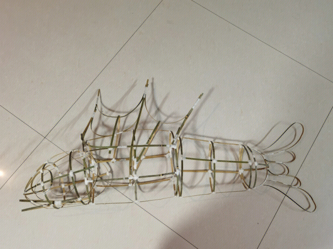 自制鱼灯鱼灯骨架基本完成啦