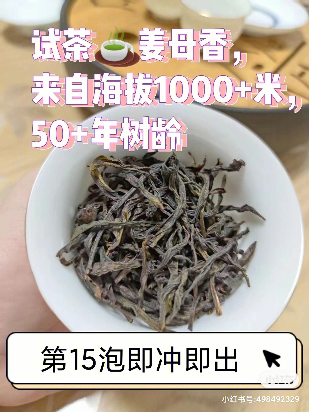 凤韵茶叶批发凤凰单丛茶50年老枞姜母香