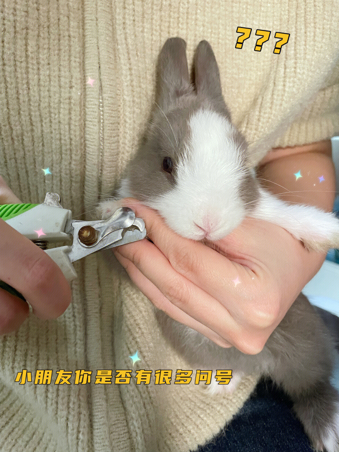 乖乖剪指甲的兔兔