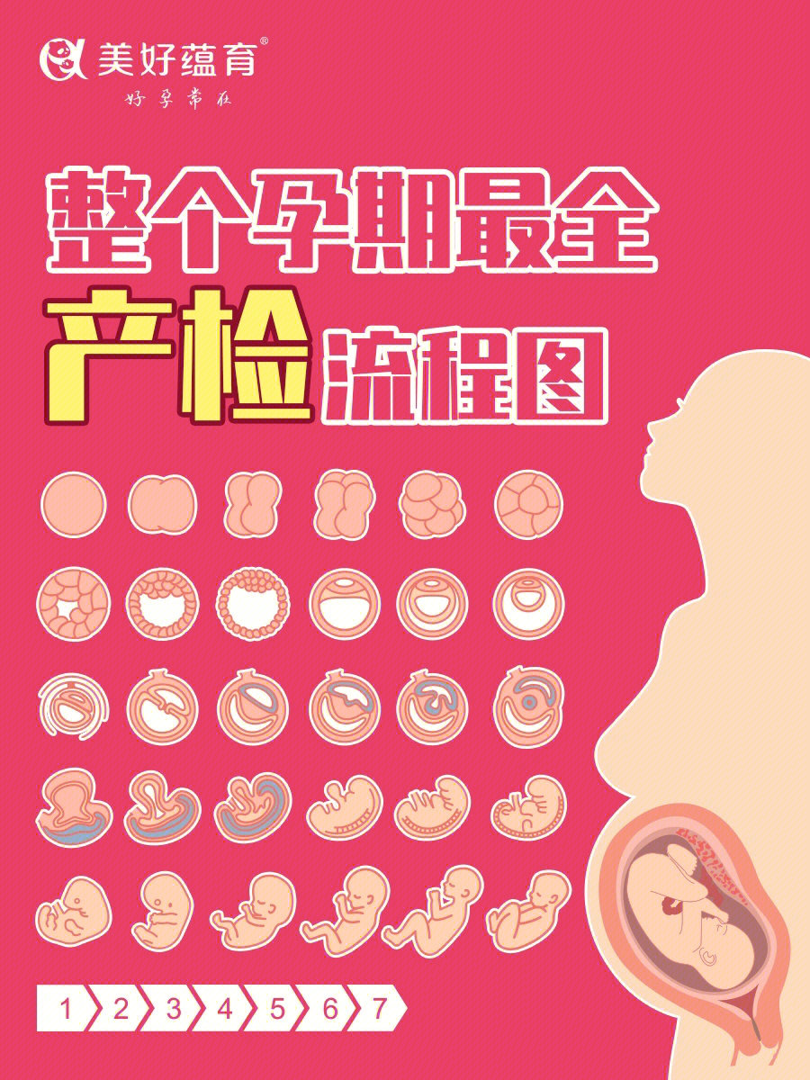 怀孕产检流程项目图片