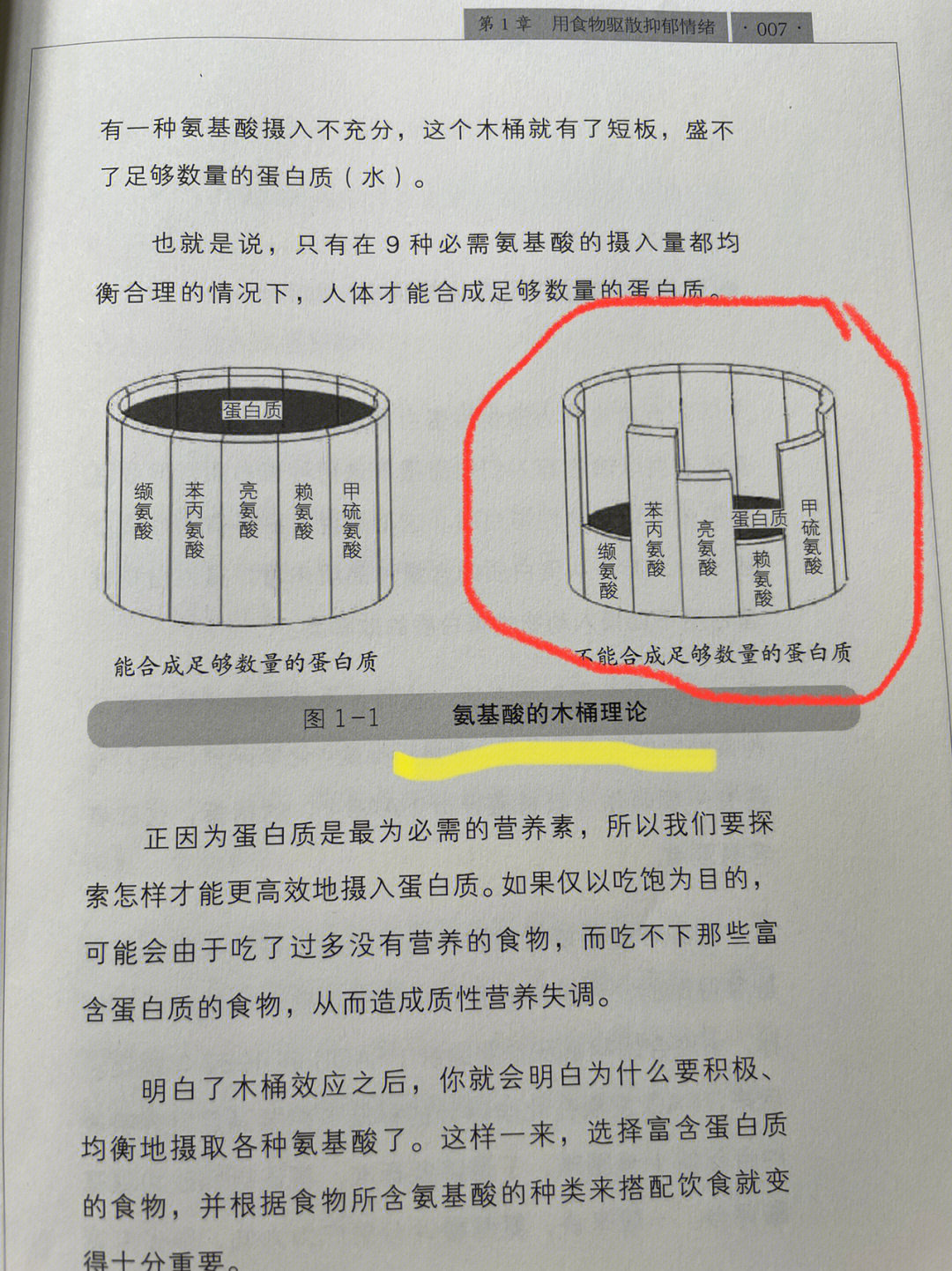 木桶合成表图片