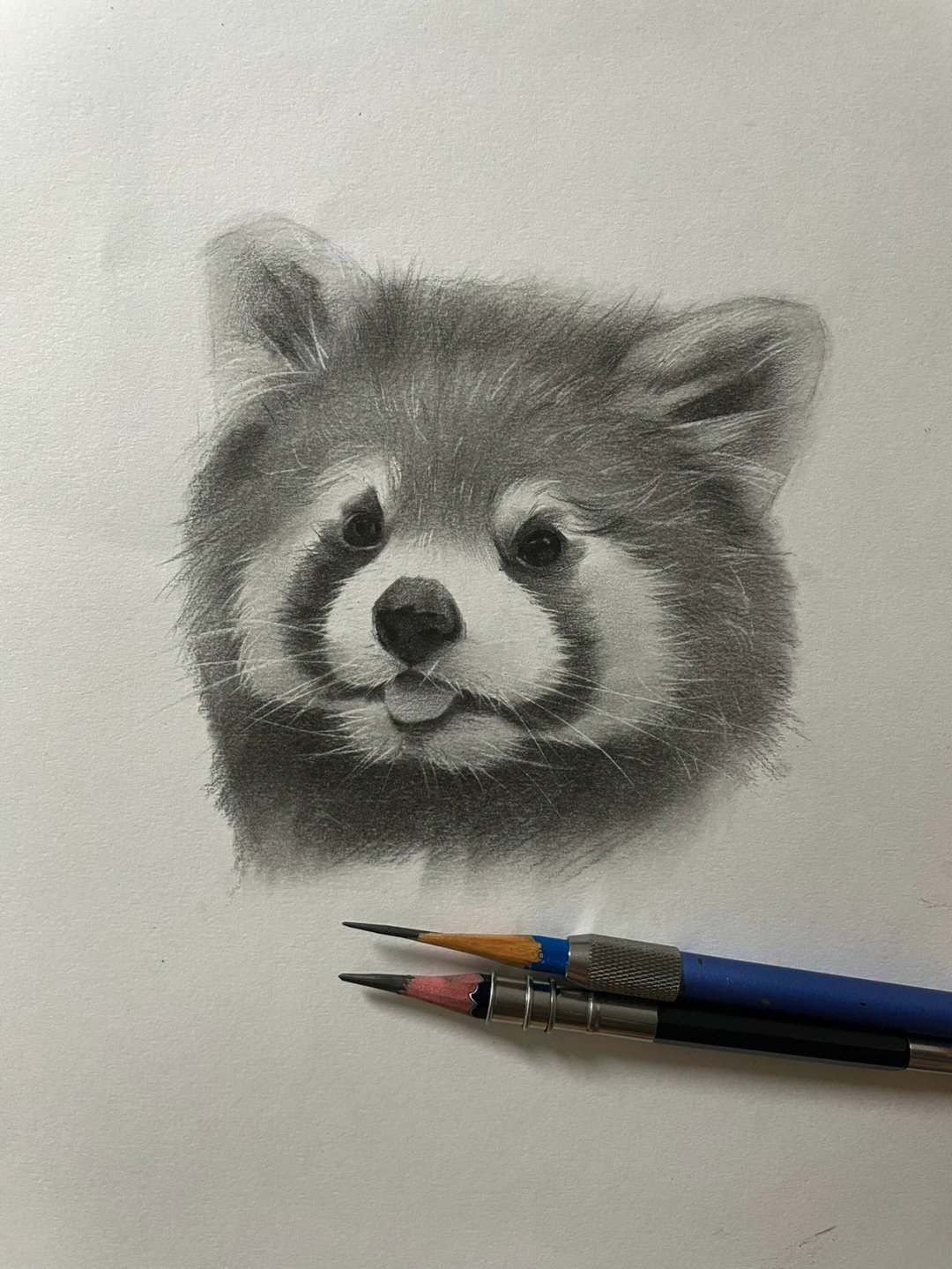 可爱的素描小熊猫