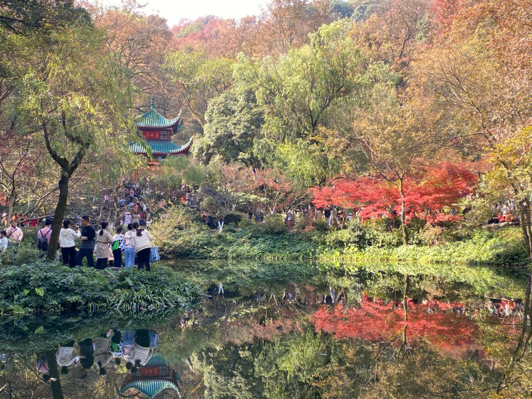 停车枫林晚酒店图片