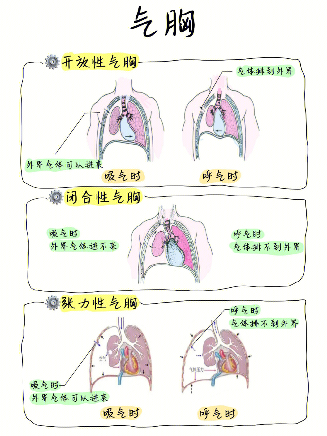 前胸叩诊18点顺序图图片