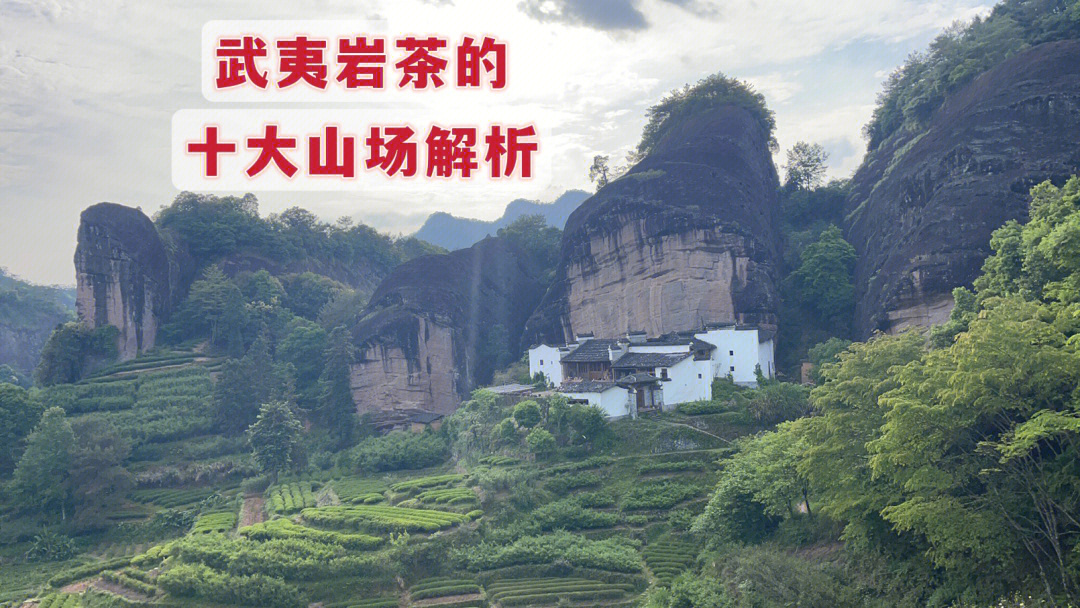 干货武夷山最出名的十大正岩山场