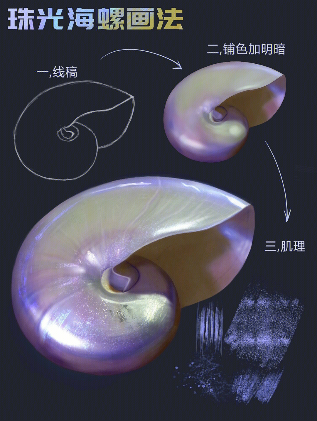 夜光螺简笔画图片