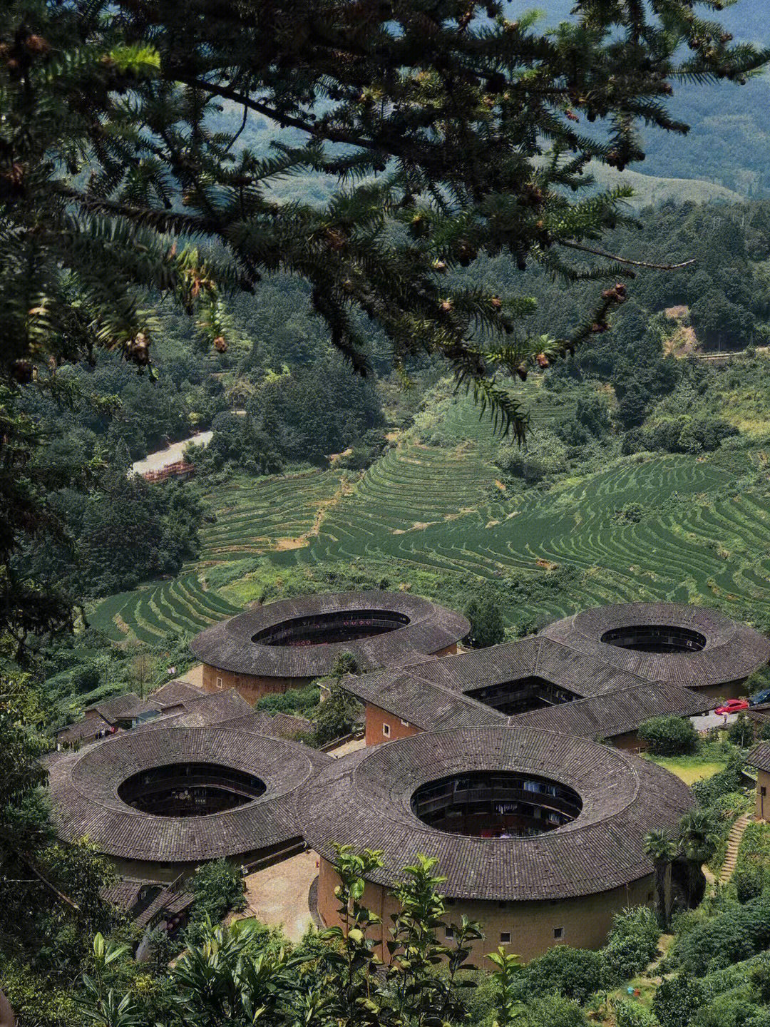 福建漳州土楼群