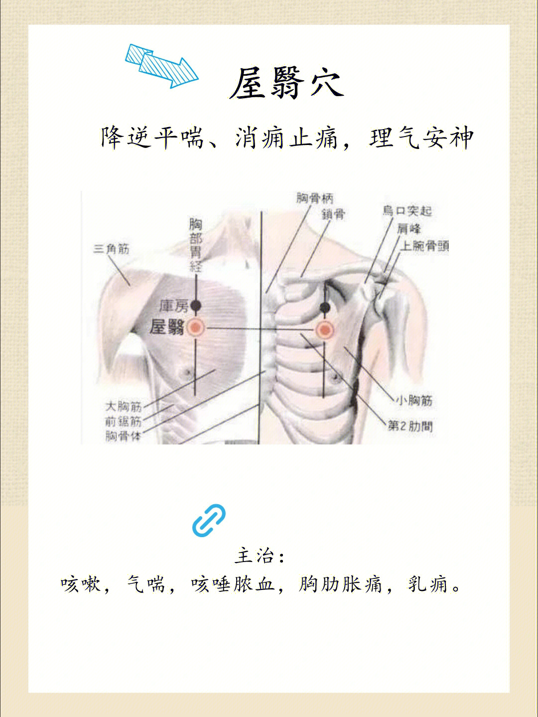 屋翳穴降逆平喘消痈止痛理气安神
