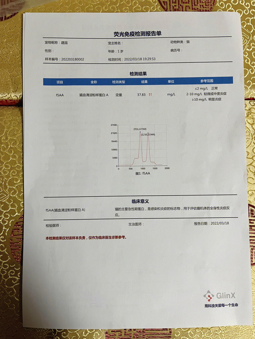 白球比偏低的原因图片