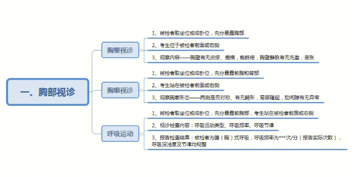 乳房检查思维导图图片