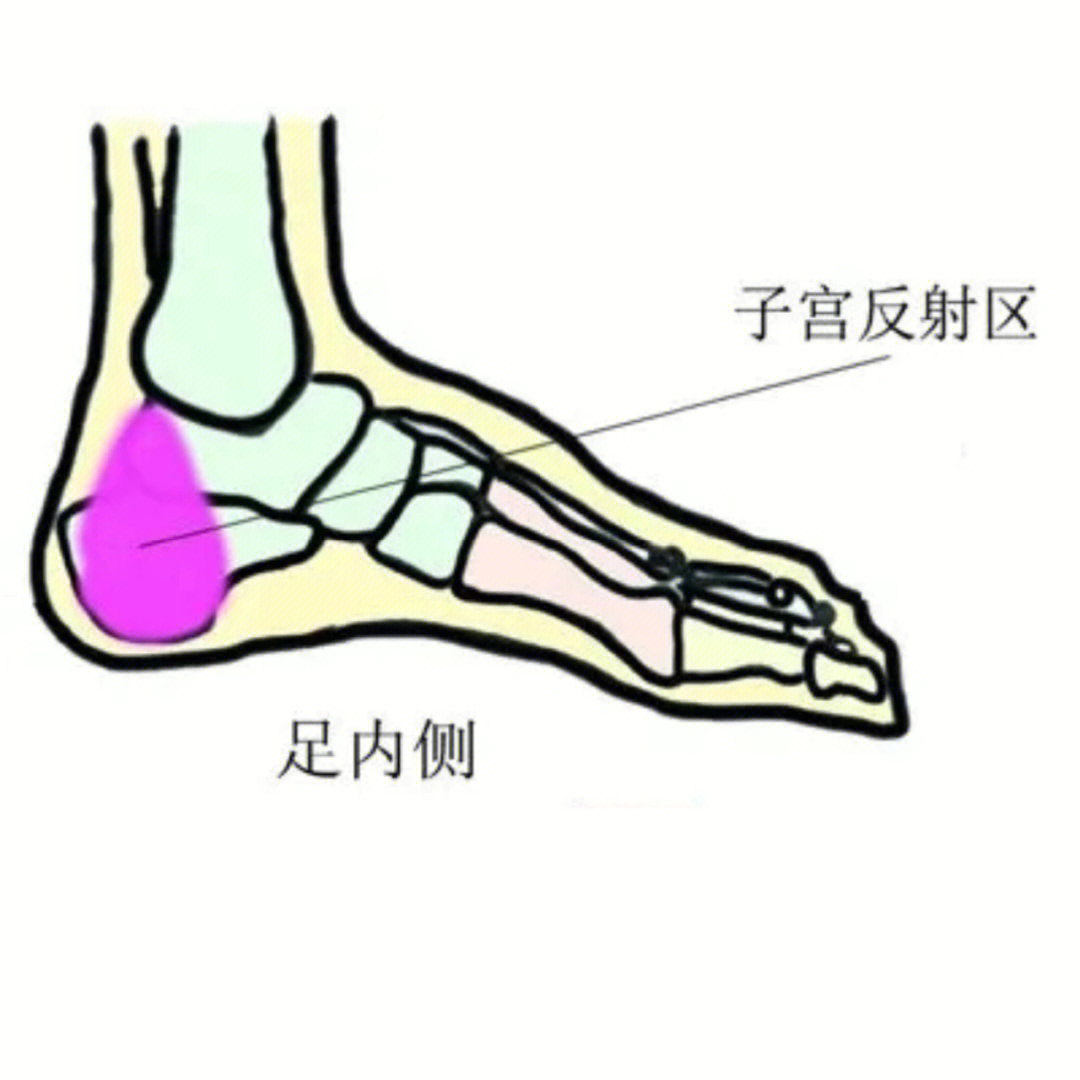 [星r]因为在人的脚上有4个反射区,女人如果经常用自己的脚踩踩这4个
