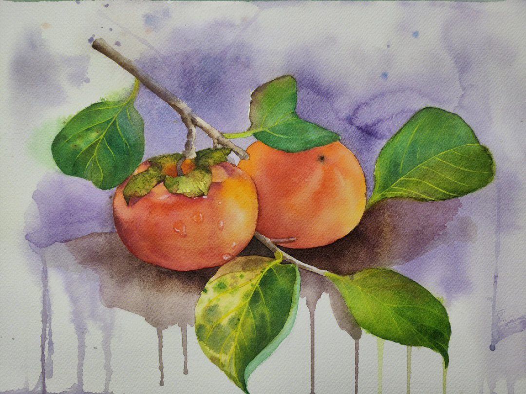 油画柿子的画法图片