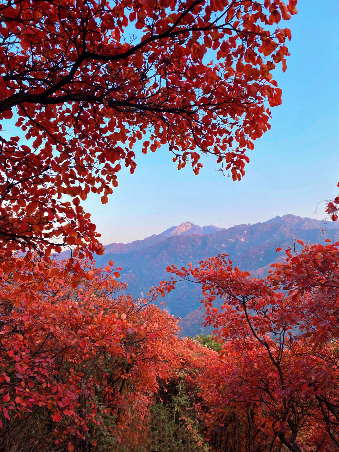 西安圭峰山一日游图片