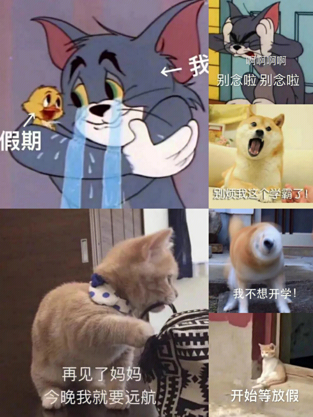 开学啦家长表情包图片