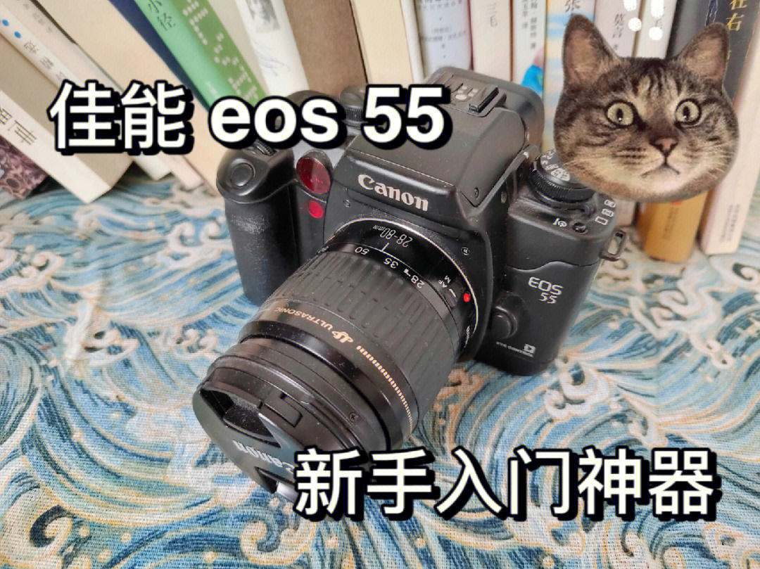 百元胶片相机入门神器佳能eos55yyds