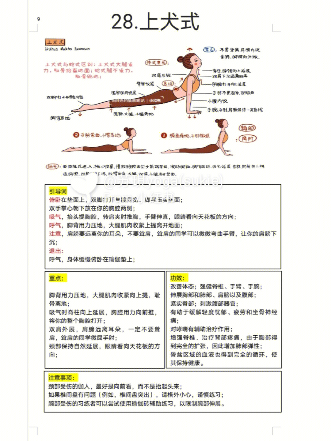 上犬式的动作讲解图片图片