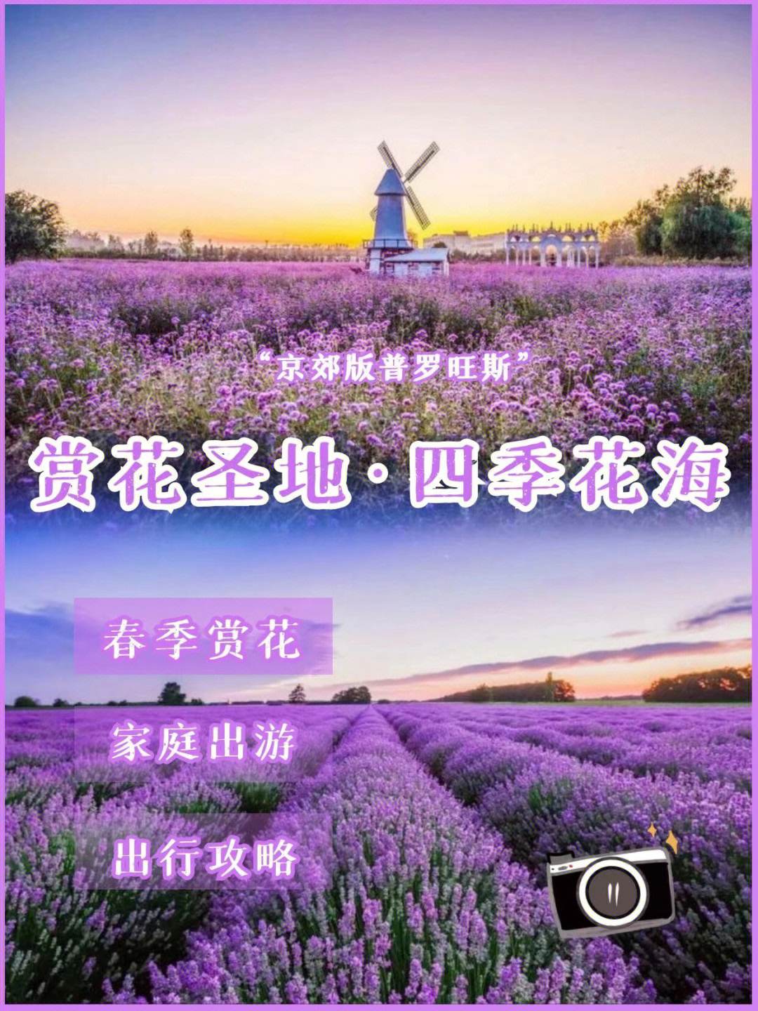 特兴四季花海门票图片