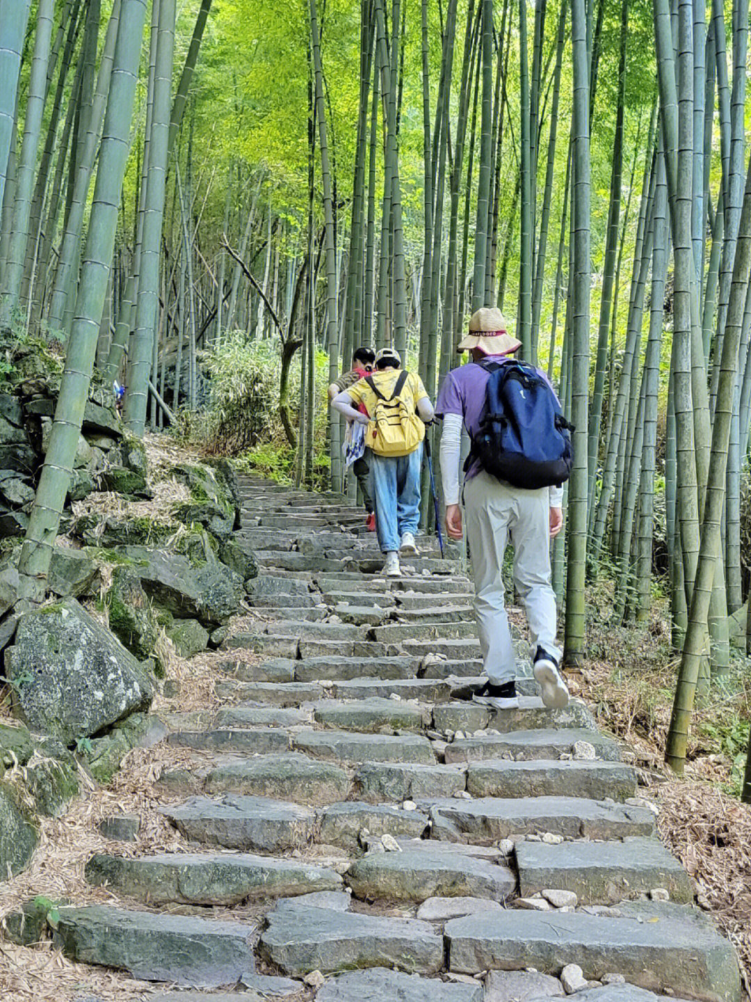 余姚古道图片