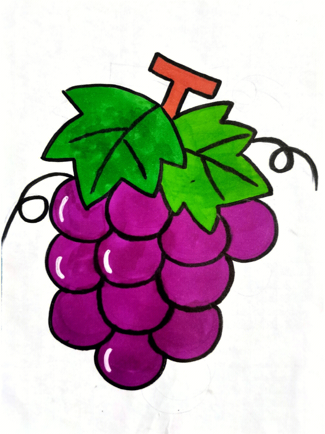 简笔葡萄怎么画简单图片