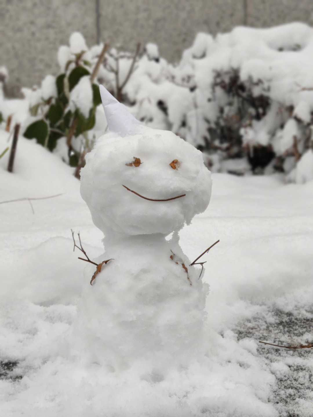 晚上堆雪人图片 实景图片