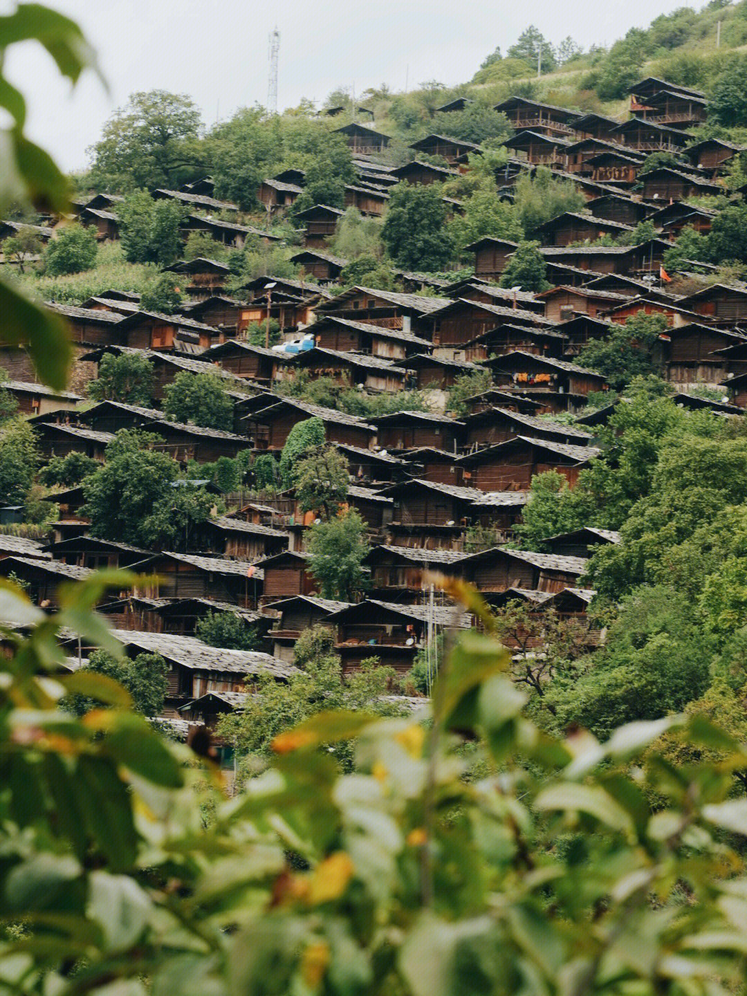 云南旅行云南原始村落傈僳族同乐村山寨