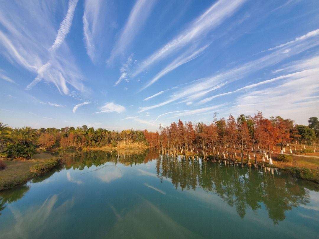 南昌市瑶湖湿地公园图片