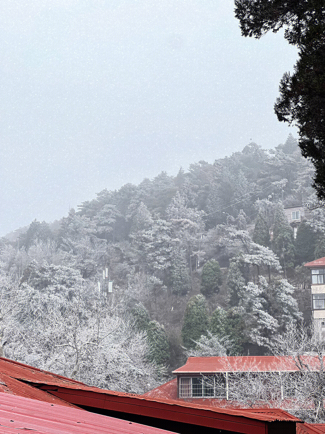 庐山天气图片