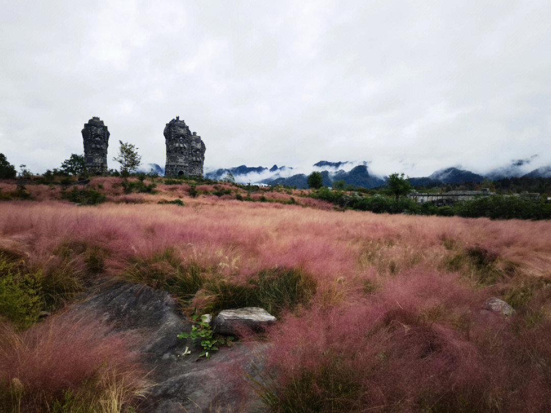 百花盛放花谷门图片