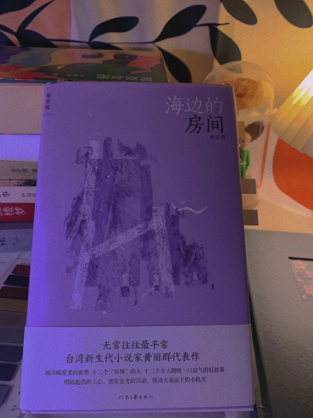 4分,短篇小说集《海边的房间》荣获时报文学奖,联合报文学奖,林荣三