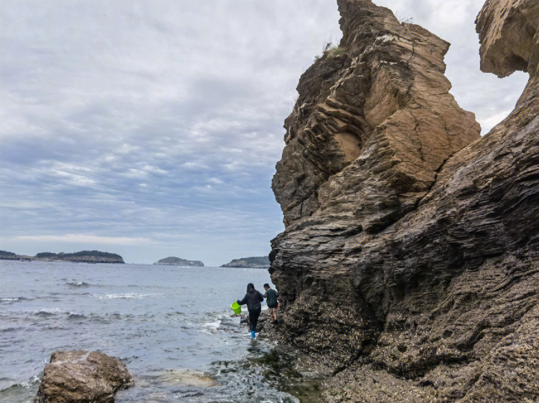 大连甘井子区赶海图片