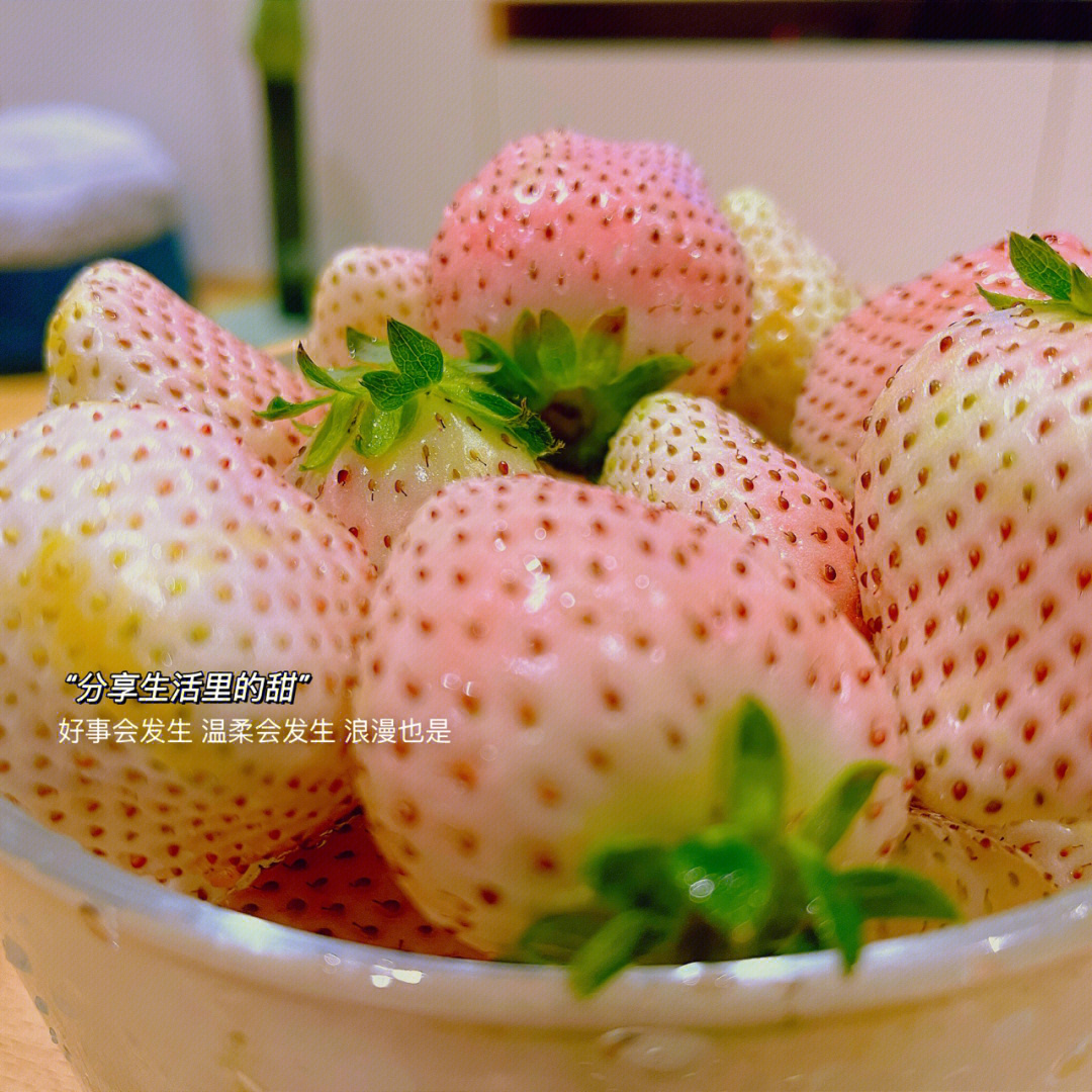 情人节的粉色草莓惊喜