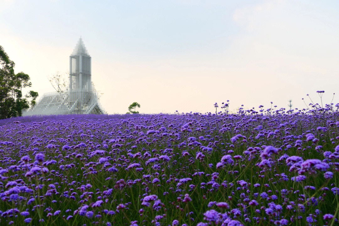 佛山花海生态公园地址图片