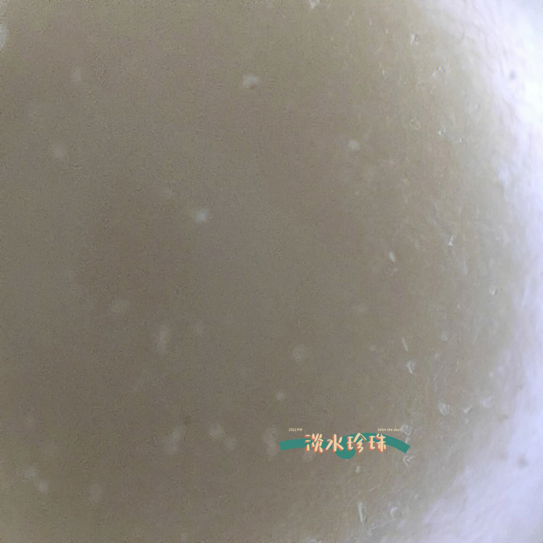 海水珍珠显微镜下图片