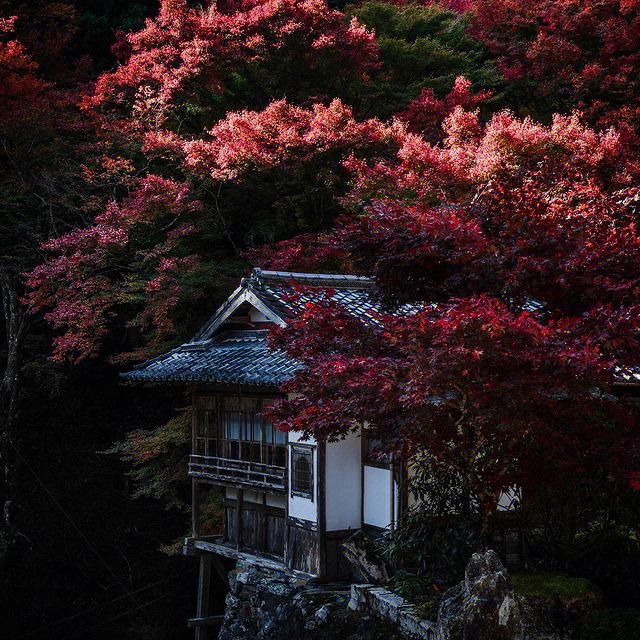 风景京都日本